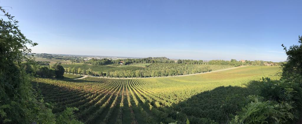 Fattoria Paradiso Bertinoro Bagian luar foto